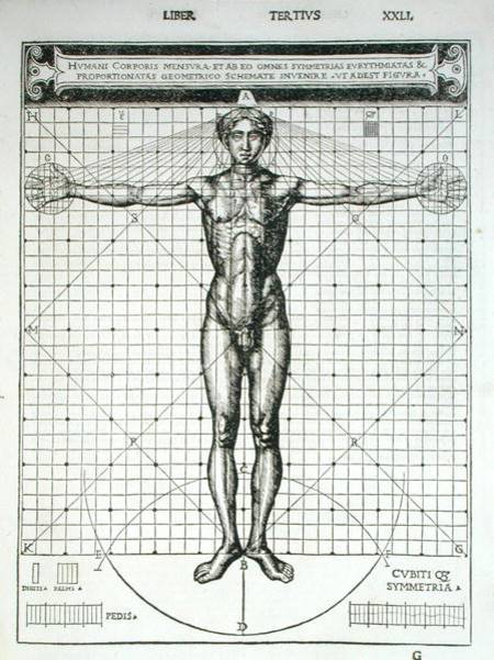 proportions of body. Cesare