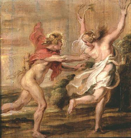 apollo daphne