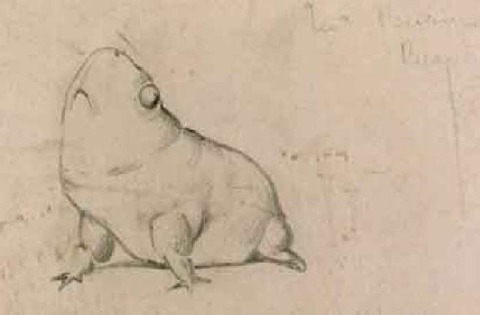 Caricatures, here the bullfrog Sir Edward Burne-Jones