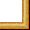 Currently selected frame CLASSIC: gold