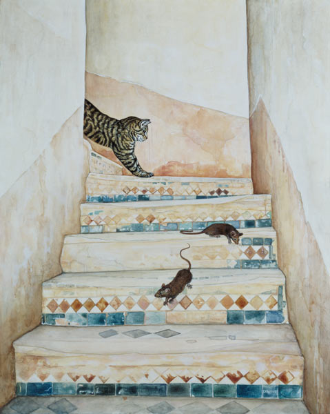 Ben Youssef''s Staircase  from Ditz 