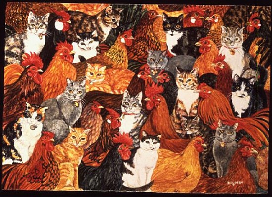 Chicken-Cats  from Ditz 