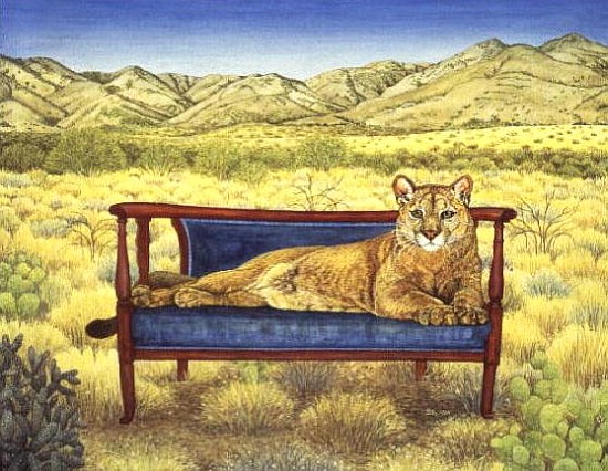 Millers'' Mountain-Lion  from Ditz 