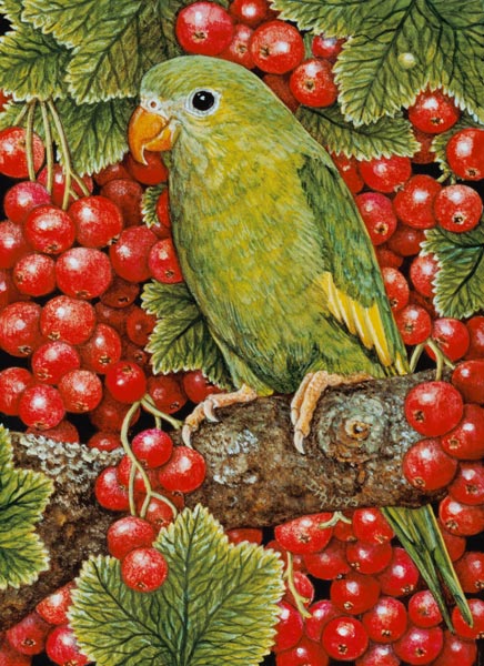 Redcurrant-Parakeet, 1995 (acrylic on panel)  from Ditz 