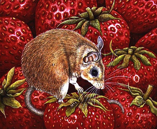 Strawberry-Mouse, 1995 (acrylic on panel)  from Ditz 