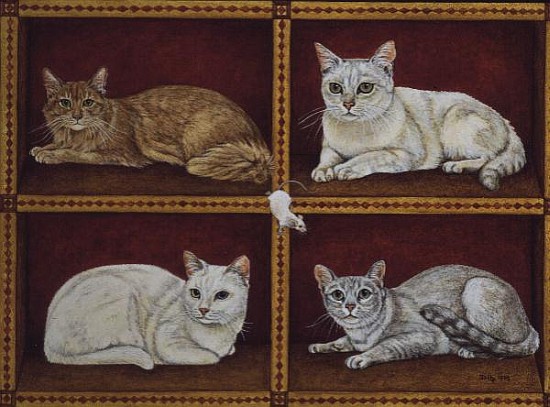 The Cat-Quartet  from Ditz 