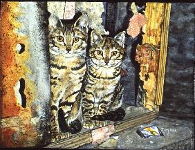 Konstantinopel Market-Cats 