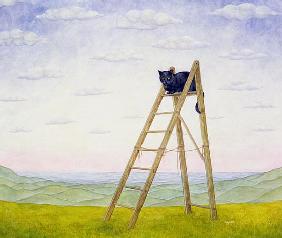 The Ladder Cat 