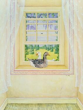 Window Geese