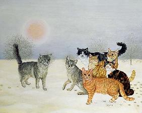 Winter-Cats 