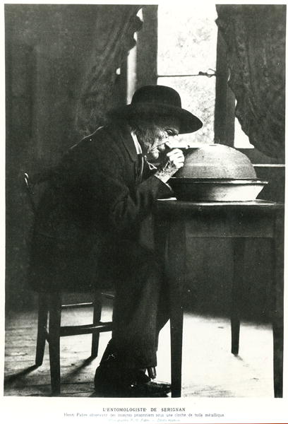 Jean-Henri Fabre (1823-1915) observing insects, from ''Souvenirs Entomologiques'', published in 1924 from French Photographer