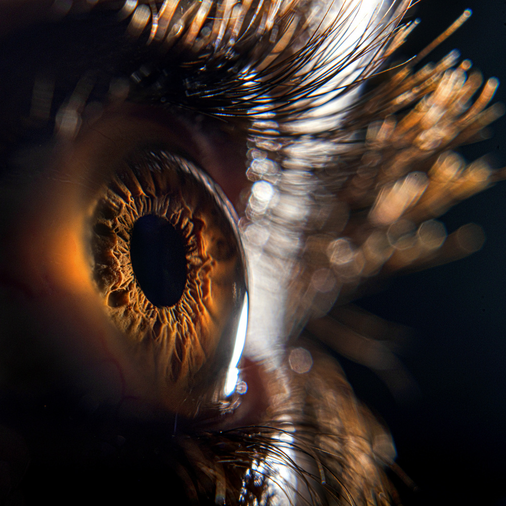 The eye from Abbas Arabzadeh