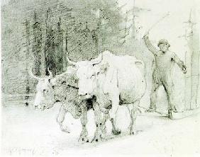 A French Peasant Driving Oxen (charcoal)