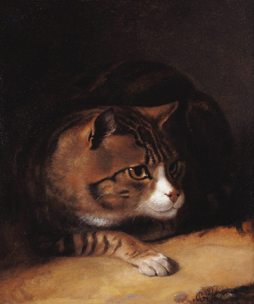 A Tabby Cat from Abraham Cooper