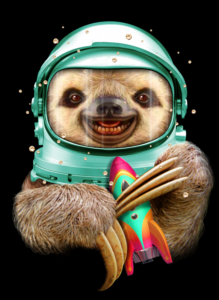 SPACESLOTH from Adam Lawless