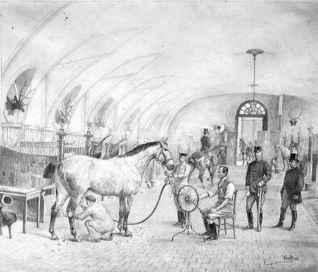 The Royal Stables: morning grooming from Adele Walter