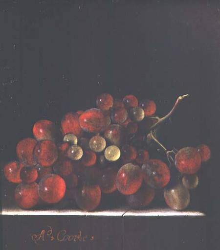 Still Life with Grapes from Adrian Coorte