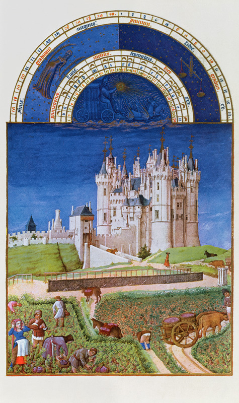 Fascimile of September: harvesting grapes the Limbourg brothers, from the ''Tres Riches Heures du Du from (after) French School