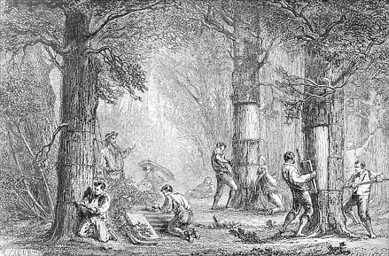 Bark (Gathering the Bark of the Cork Tree) ; engraved by Charles Laplante (d.1903) from (after) A. Faguet