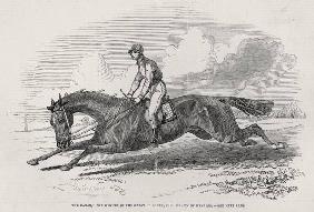''The Baron'', the winner of the Great St. Leger, from ''The Illustrated London News'', 27th Septemb