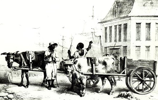 Negro Boys with bullock carts, from ''Voyage a Surinam'' 1834 from (after) Pierre J. Benoit