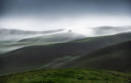Rolling Hills and Fog