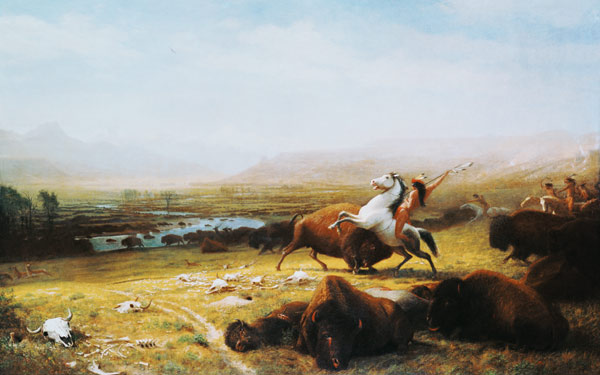 Indian on the buffalo hunting. from Albert Bierstadt