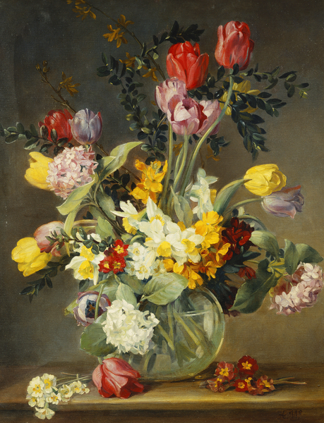 Tulips in a Glass Vase from Albert  Williams