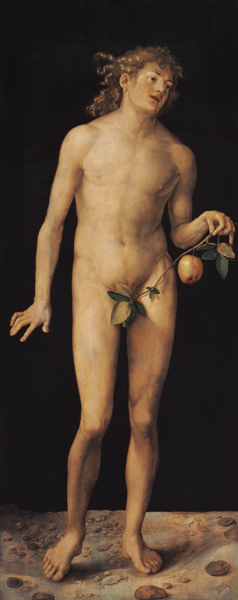 Adam from Albrecht Dürer