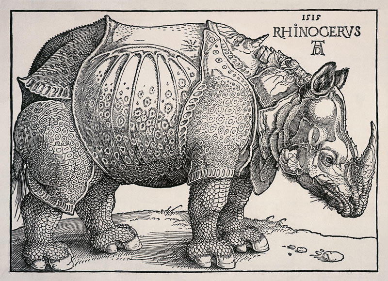 Nashorn - Variation ohne Text from Albrecht Dürer