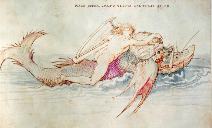 Arion wird von einem Delphin gerettet from Albrecht Dürer