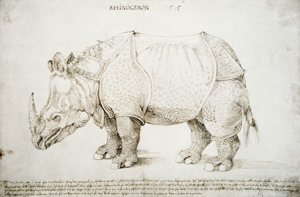 Rhinoceros from Albrecht Dürer