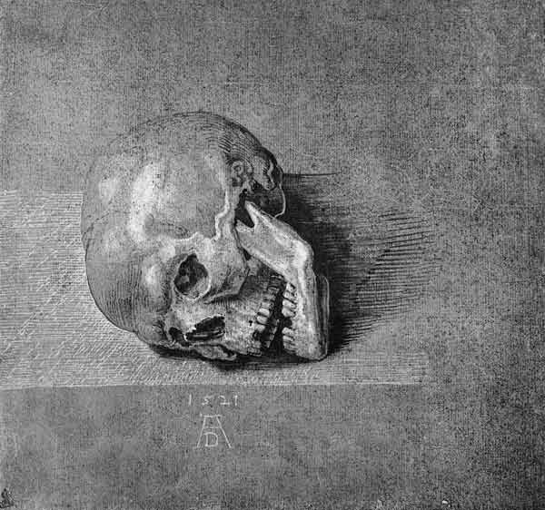A.Dürer, Skull / Draw./ 1521 from Albrecht Dürer