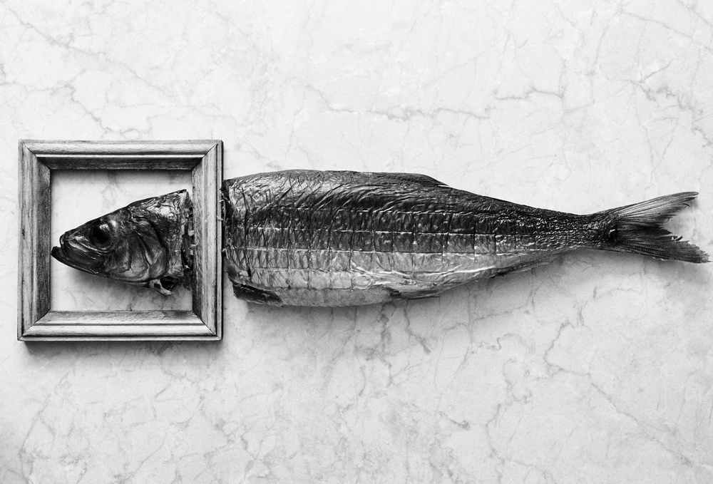 Fish portrait from Aleksandrova Karina