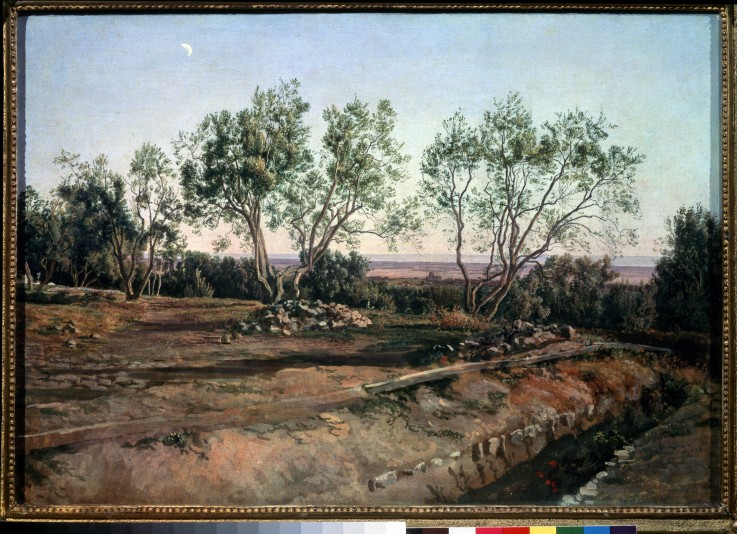 Olive trees near the graveyard in Albano from Alexander Andrejewitsch Iwanow
