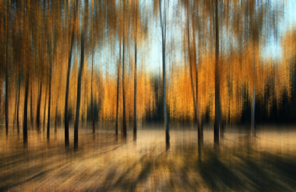 Autumn from Alexander Kiyashko