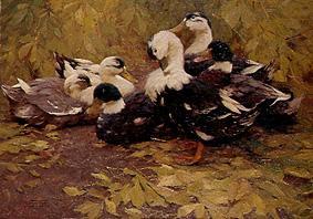 Six ducks in the Herbstlaul from Alexander Koester