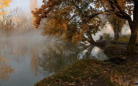 Autumn misty morning with a lone fisherman