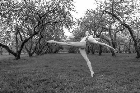 Dancer in the park