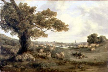 View of Norwich from Alfred Priest