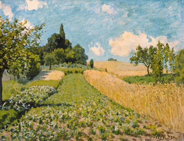 Summer landscape with fields from Alfred Sisley