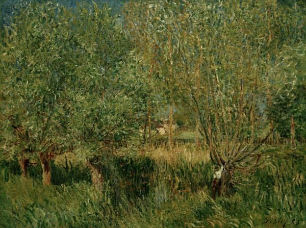 A.Sisley, Weiden am Ufer der Orvanne from Alfred Sisley