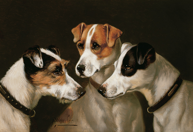 The Hounds from Alfred Wheeler