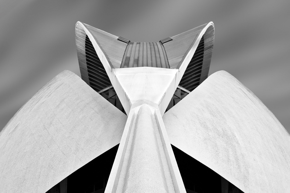 Calatrava from Alida Van Zaane