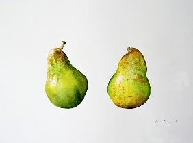 A Pair of Pears, 1997 (w/c on paper) 