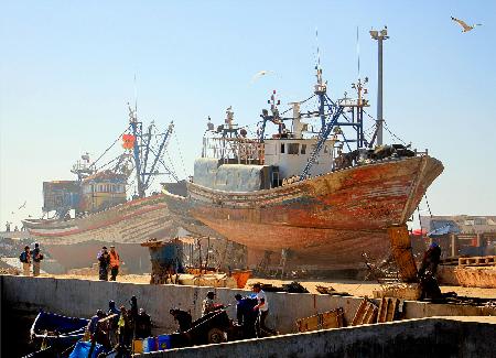 Essaouira Fishing Port - Morocco
