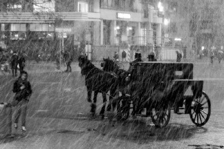 Carriage in winter storm