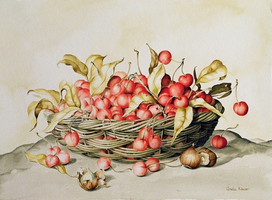 Basket of cherries from  Amelia  Kleiser