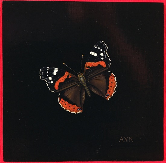 Red Admiral butterfly from  Amelia  Kleiser