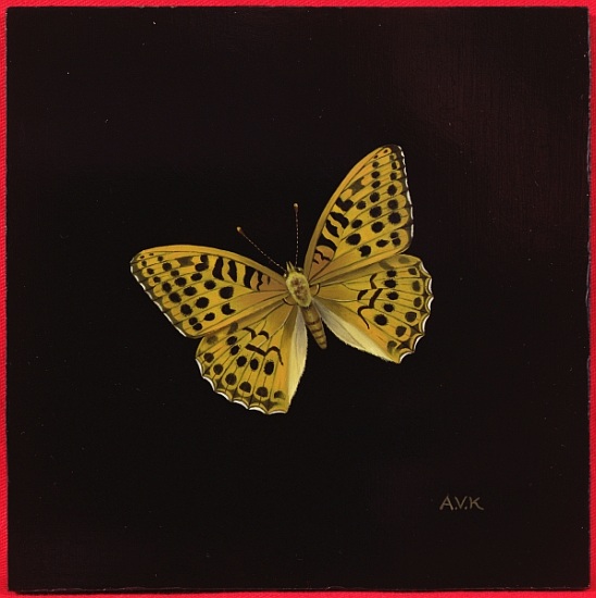 Silver washed fritillary butterfly from  Amelia  Kleiser